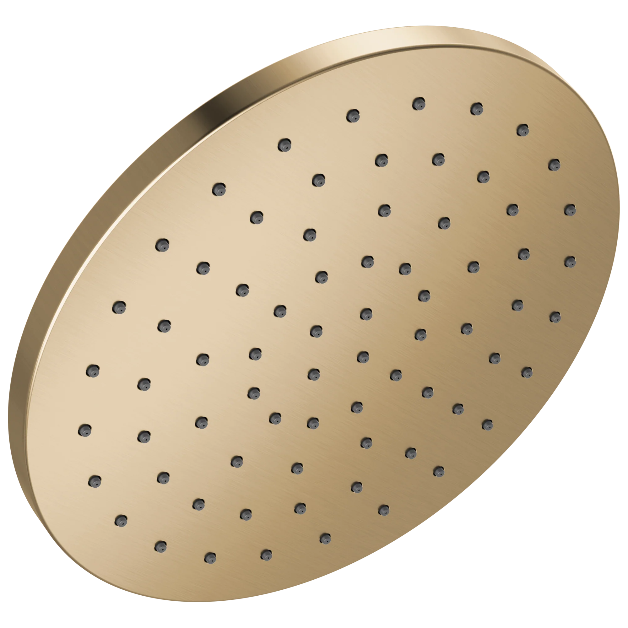 Delta Universal Showering Components 52162 10" Single-Function Raincan Shower Head
