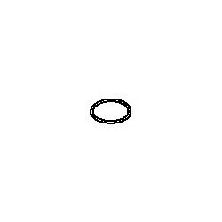 KOHLER K-1053351 O-Ring - Image 2